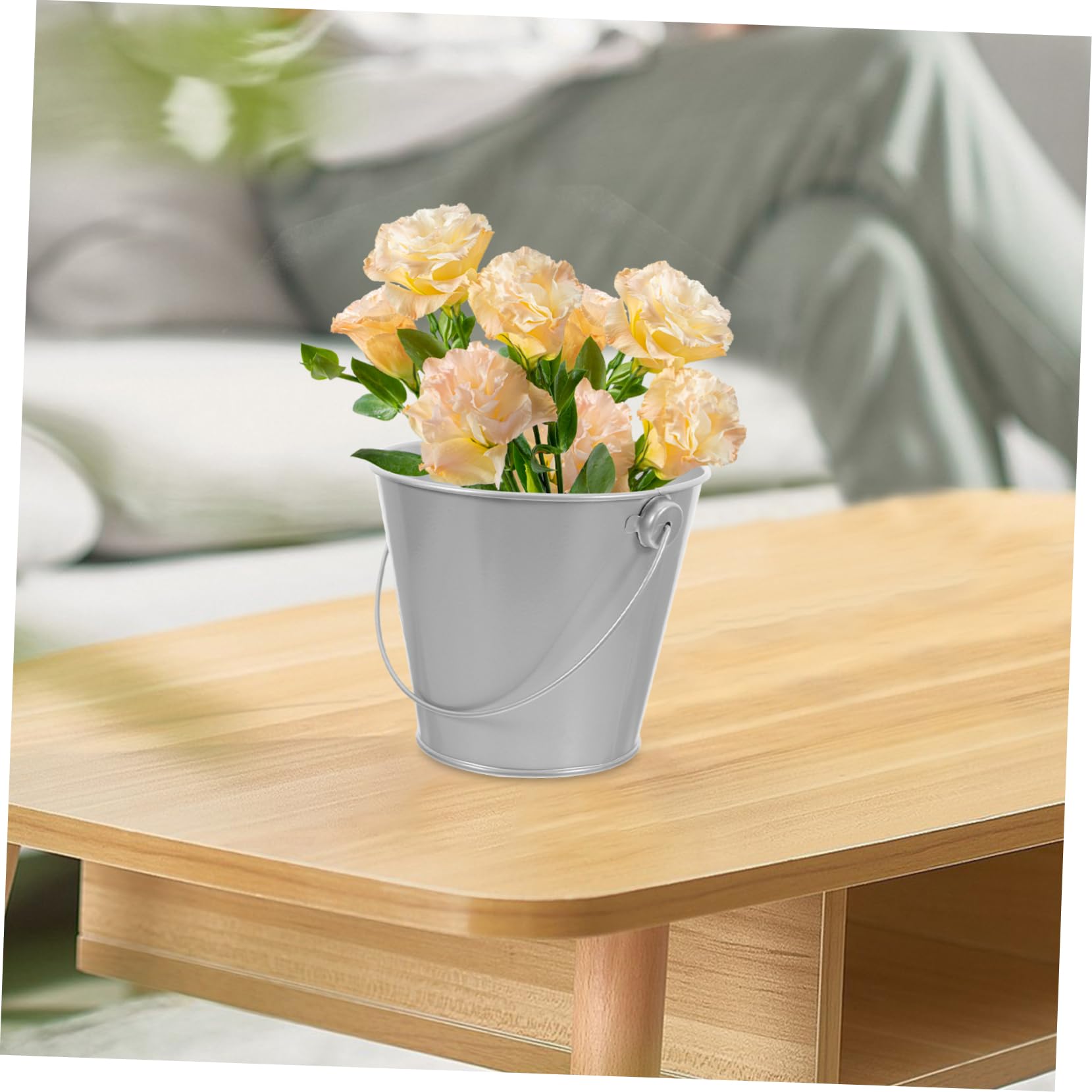 DOITOOL Mini Secchio Latta Argento con Manico 12x10,5 cm