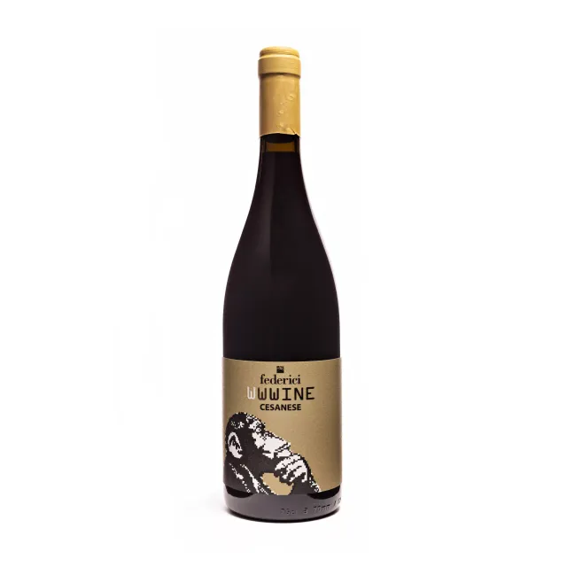 Federici Cesanese Vino Rosso Viola e Frutti di Bosco