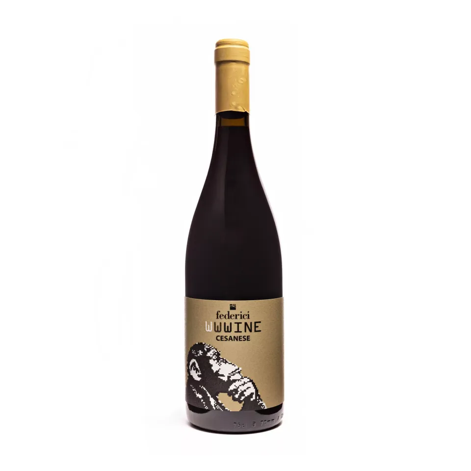 Federici Cesanese Vino Rosso Viola e Frutti di Bosco