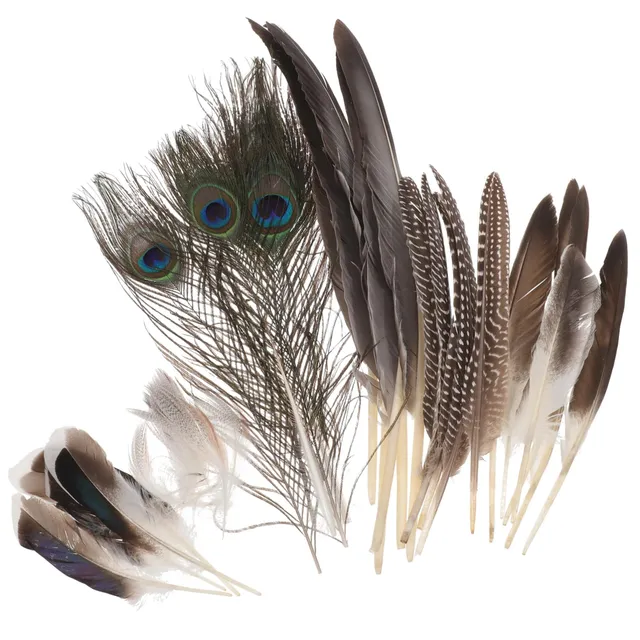 DOITOOL Piume Soffici Naturali Decorative 30 Pezzi Colorati