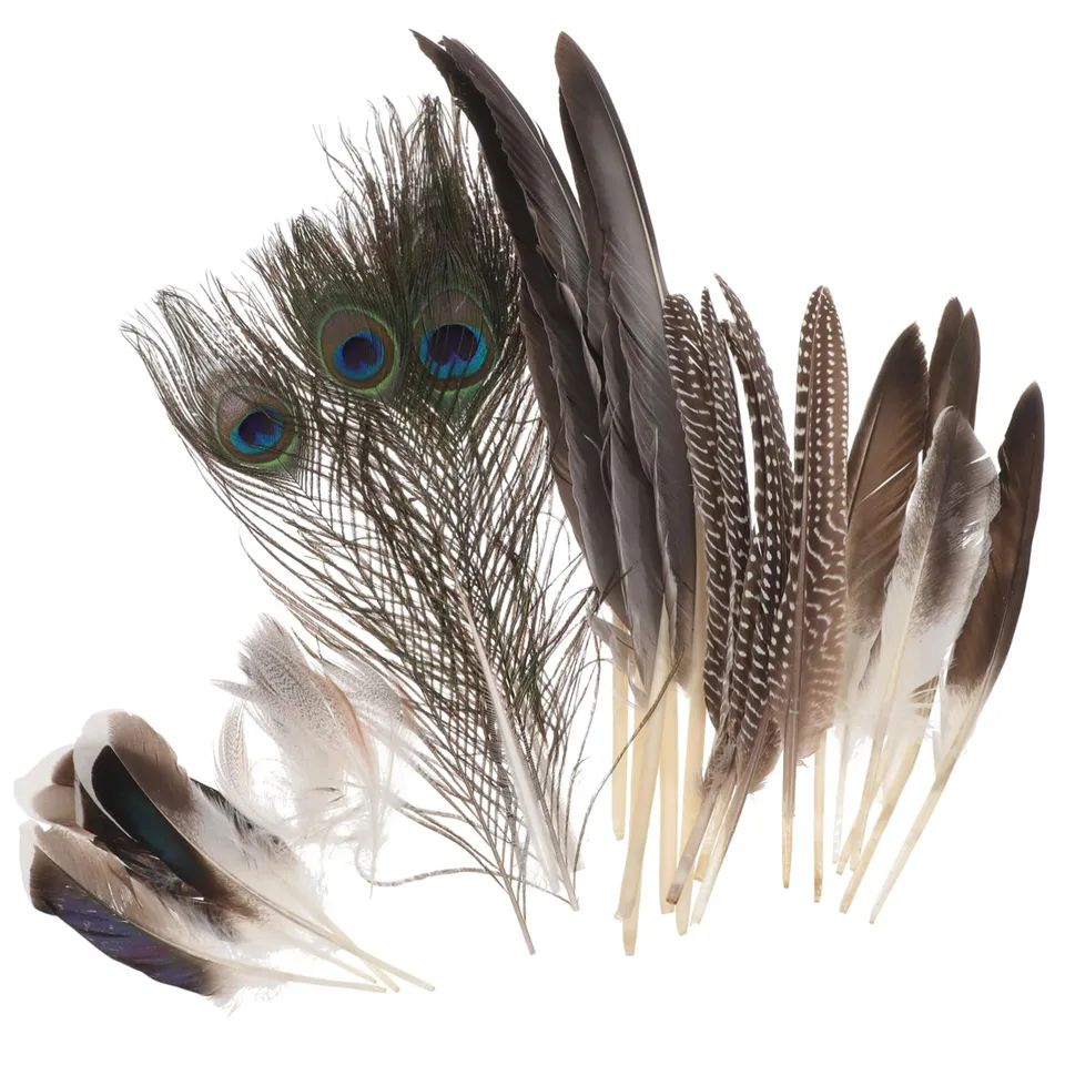 DOITOOL Piume Soffici Naturali Decorative 30 Pezzi Colorati