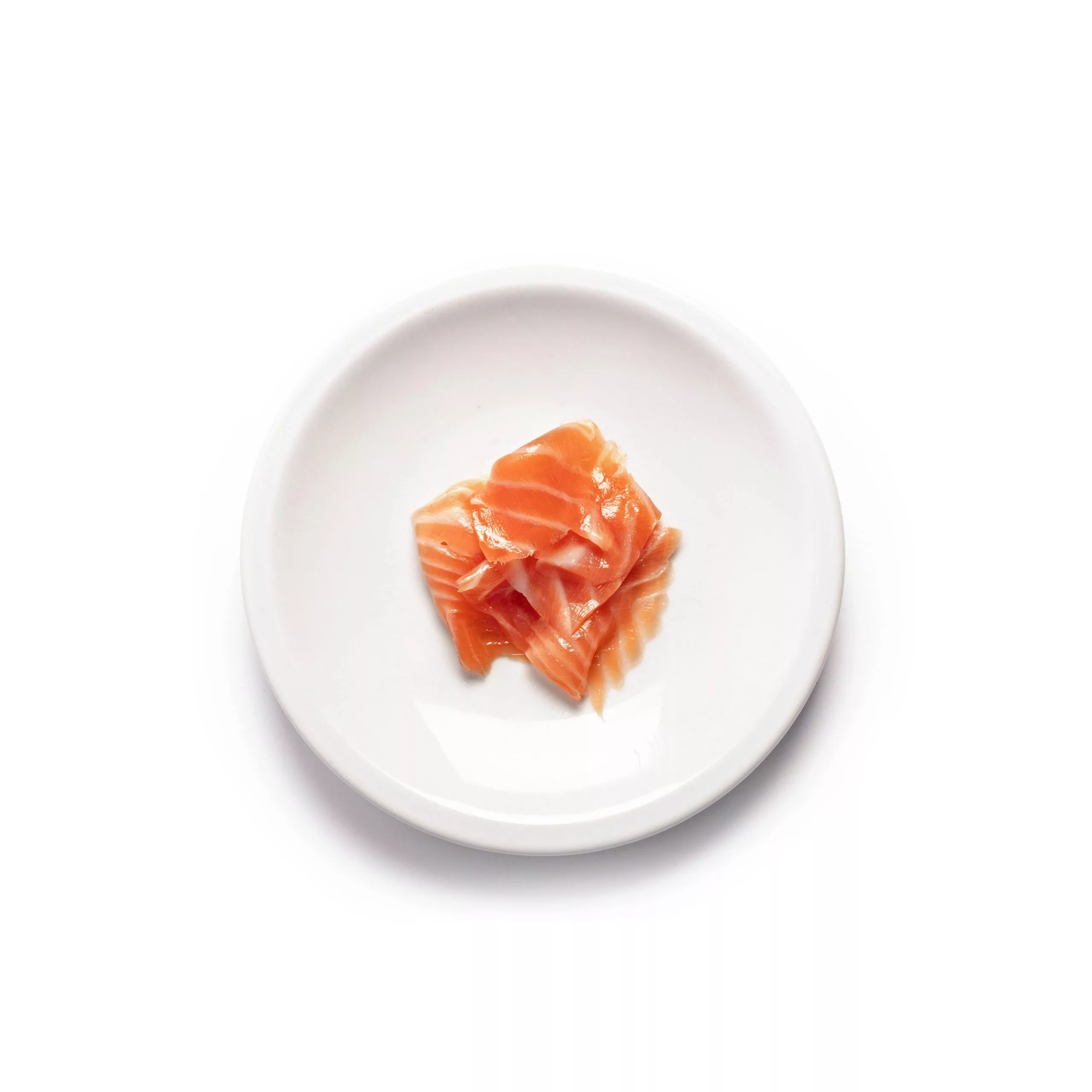 Ercoli 1928 Salmone Coho Argentato salmone selvaggio