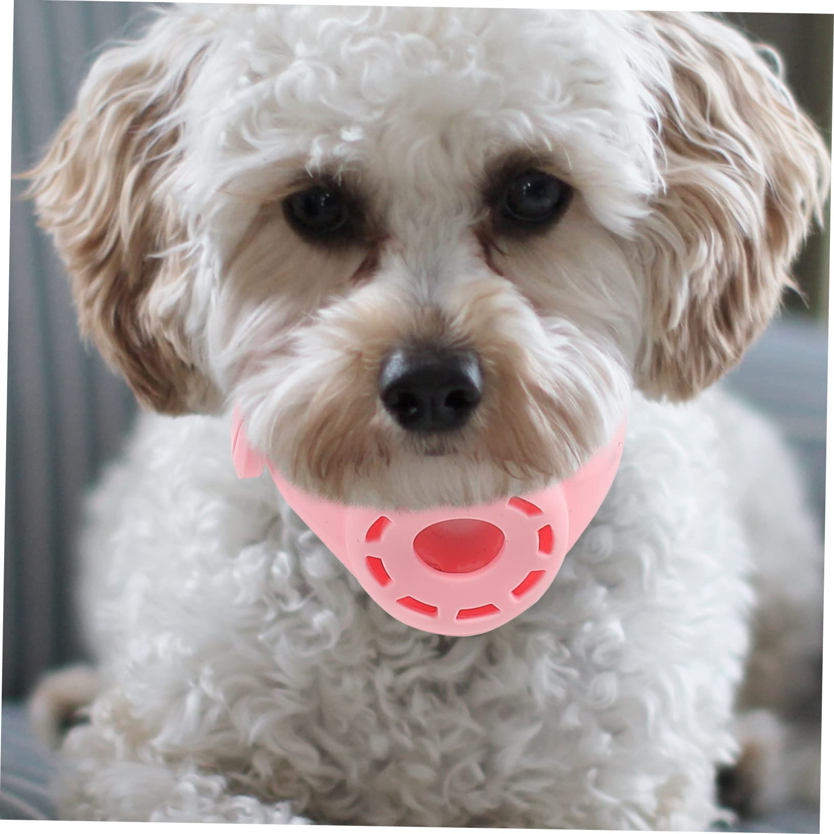DOITOOL collare cane porta AirTag silicone rosa 1 pz regolabile