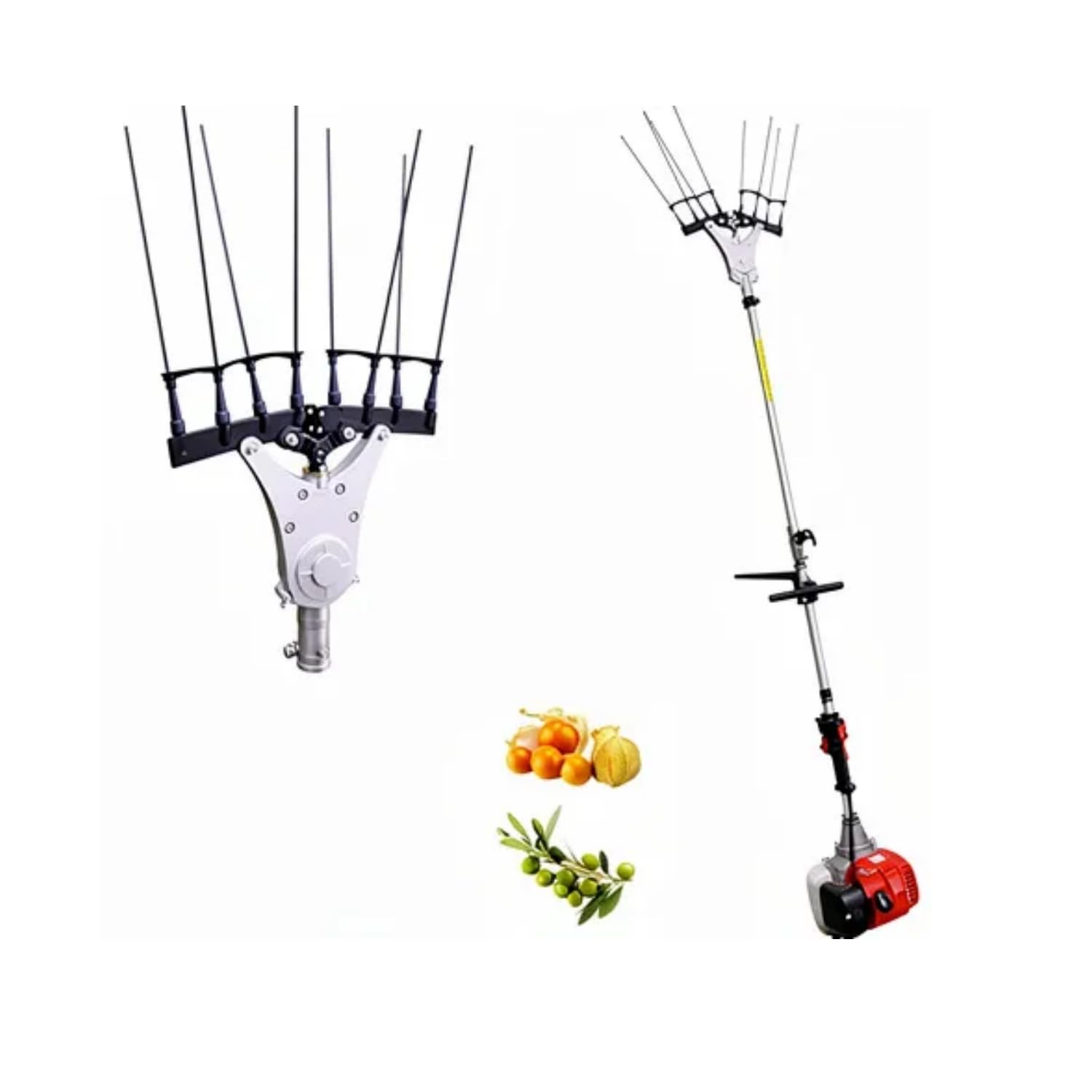 GrecoShop motoabbacchiatore scuotiolive a scoppio 51,7cc asta 145 cm