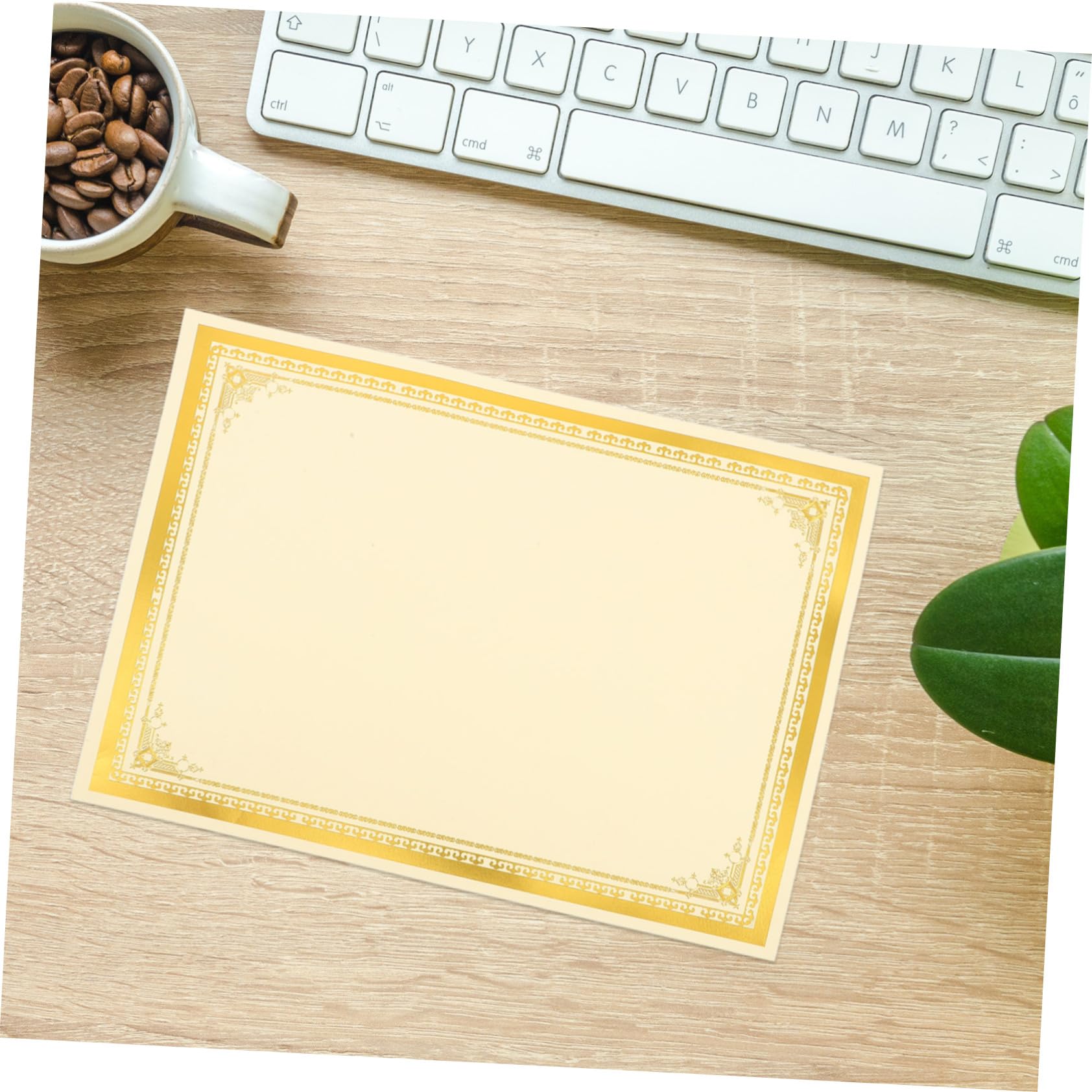 DOITOOL carta certificati bianca bordo oro 10 pz