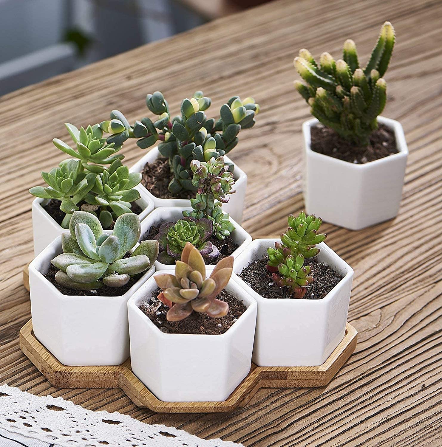 Yexati Flowerplus vasetti ceramica bianchi esagonali 7 pezzi