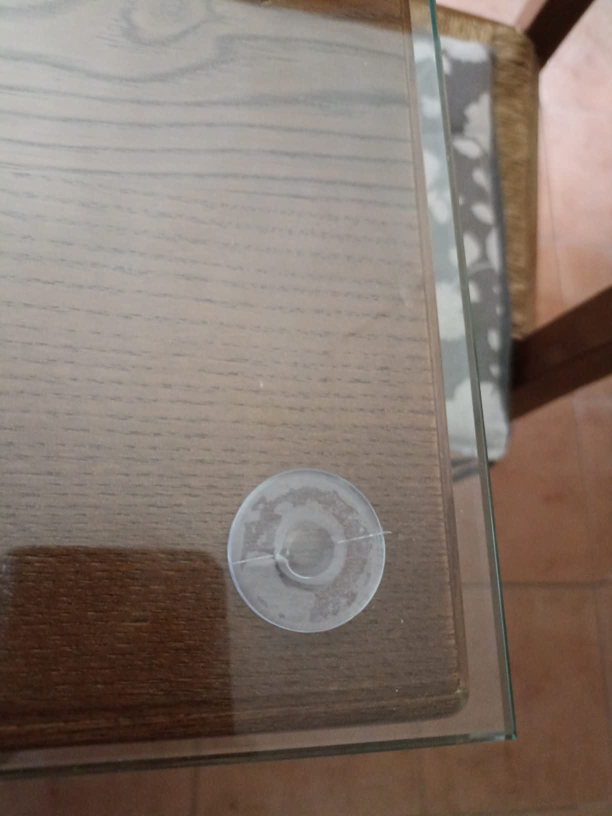 DOITOOL Ventose Biadesive 30 mm 10 Pezzi Trasparenti