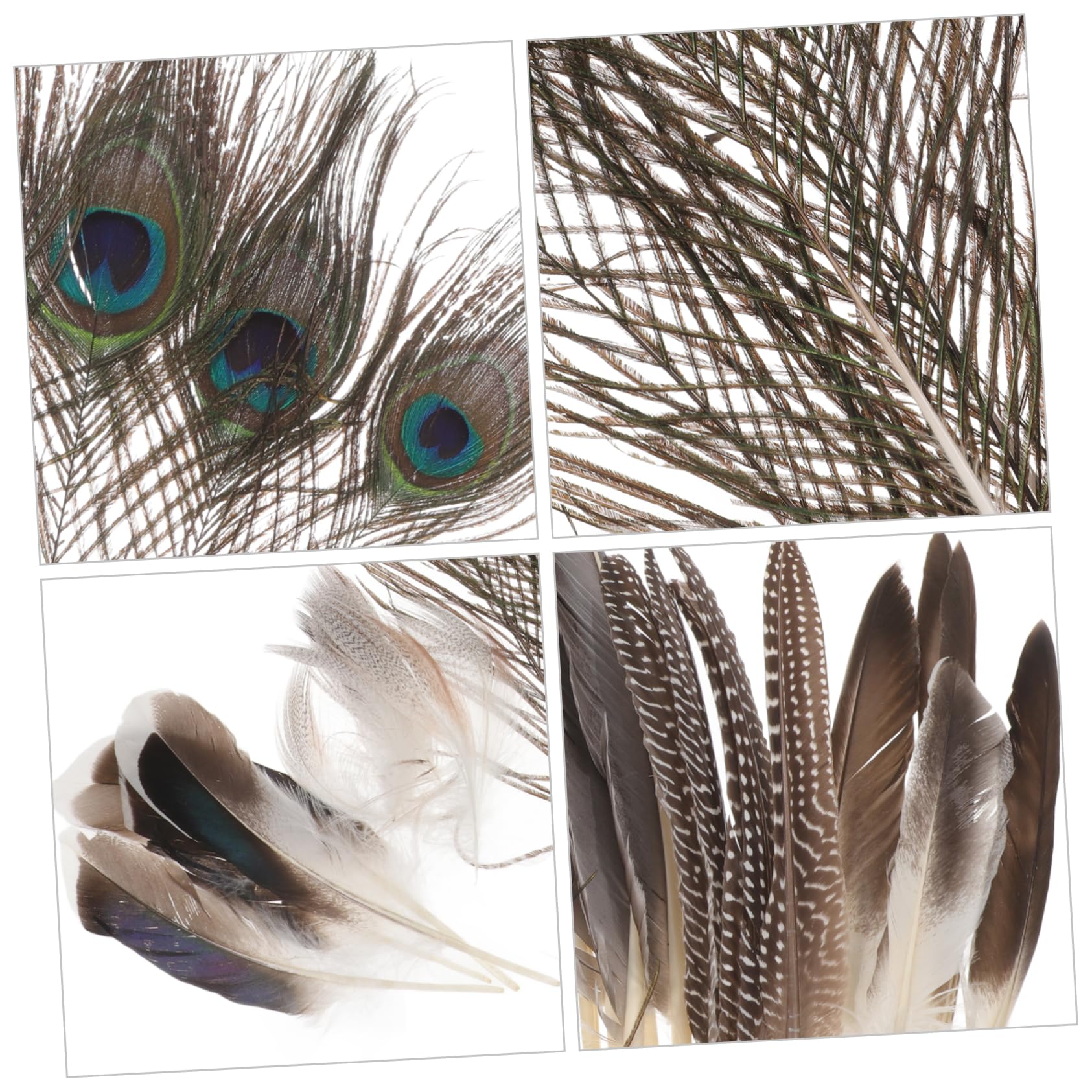 DOITOOL Piume Soffici Naturali Decorative 30 Pezzi Colorati