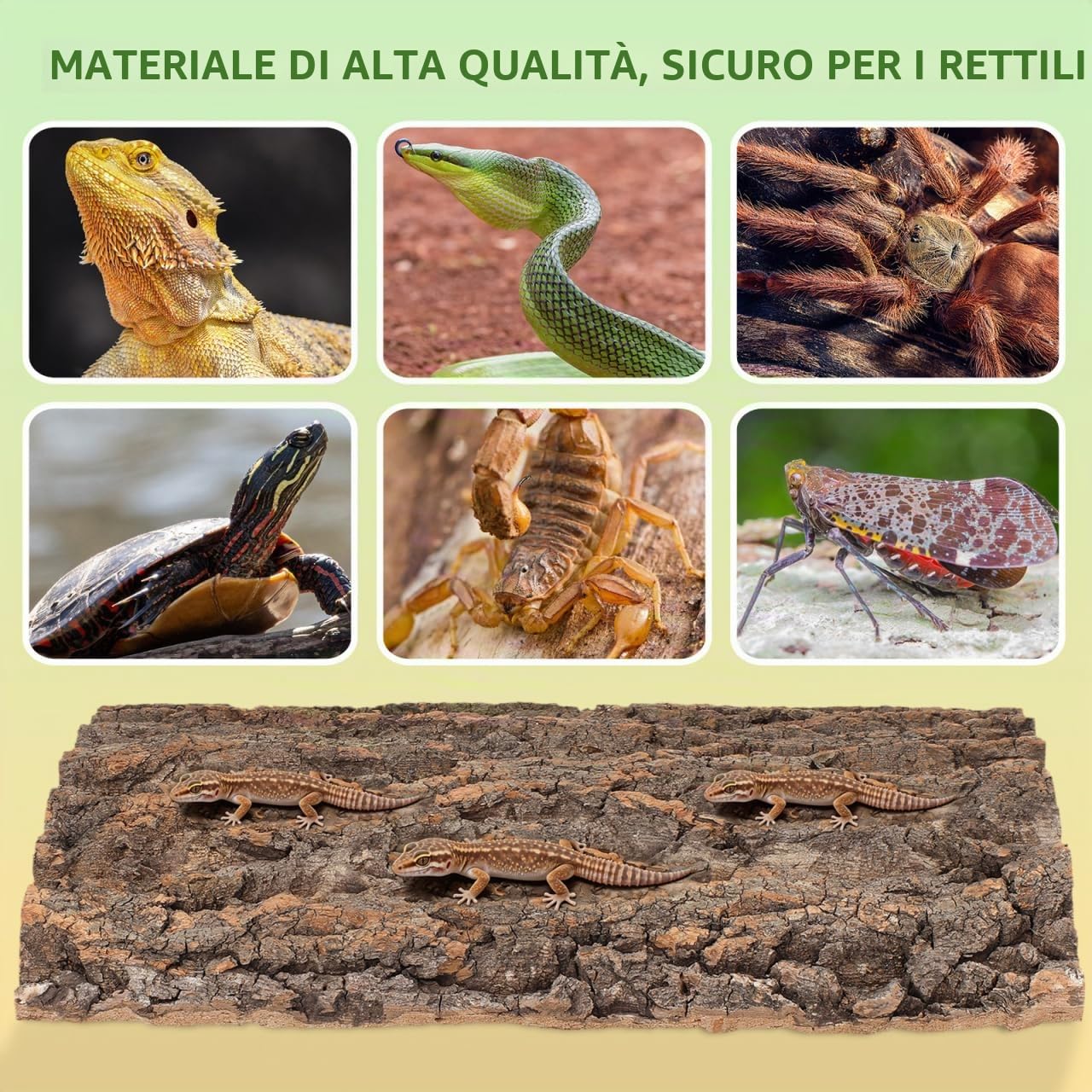 DOITOOL Corteccia Sughero Rettili 40x30 cm Terrario