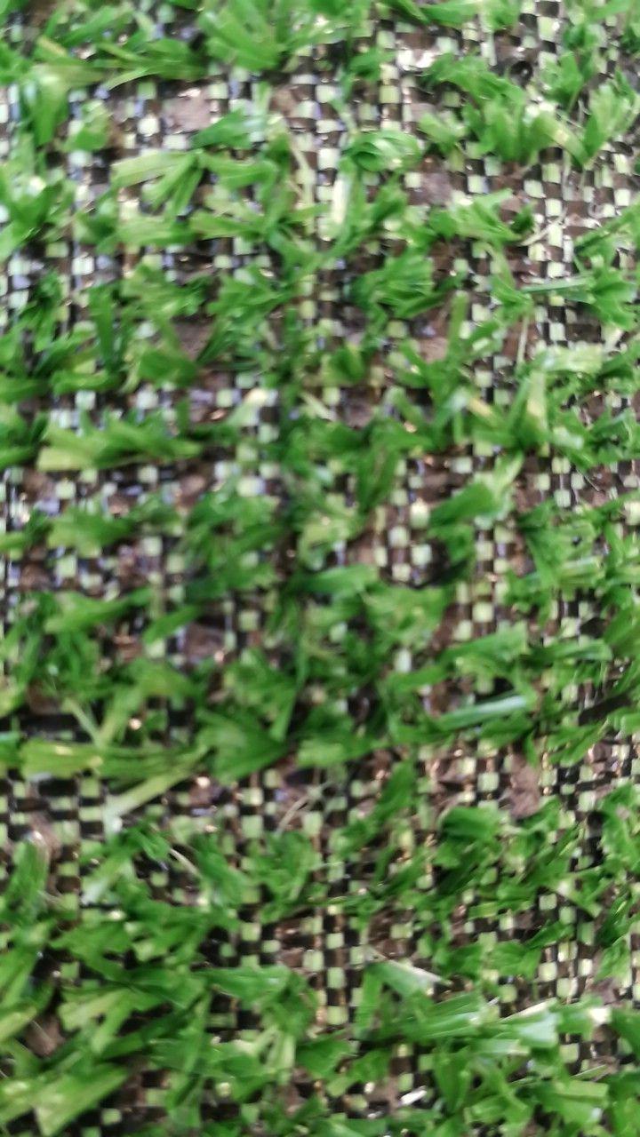 GrecoShop 2456 2x10 m tappeto erba sintetica 7 mm verde