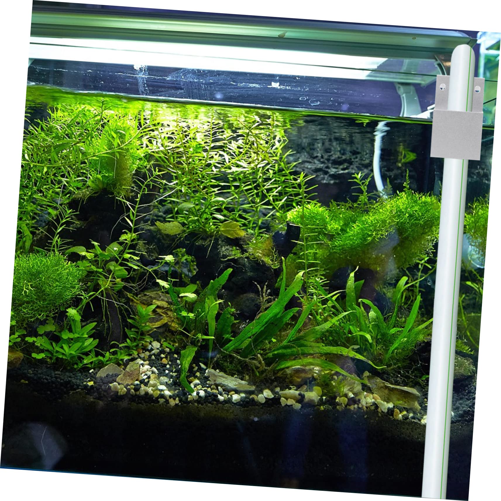 DOITOOL clip fissaggio tubo acquario acciaio inox 6x5x4 cm