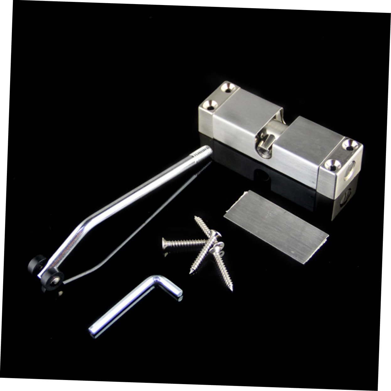 Doitool Chiudiporta Automatico Inox per Porte fino a 1000 mm