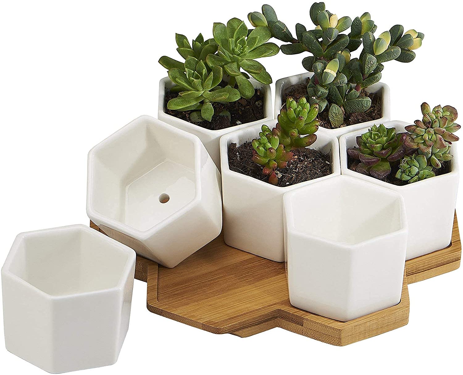 Yexati Flowerplus vasetti ceramica bianchi esagonali 7 pezzi