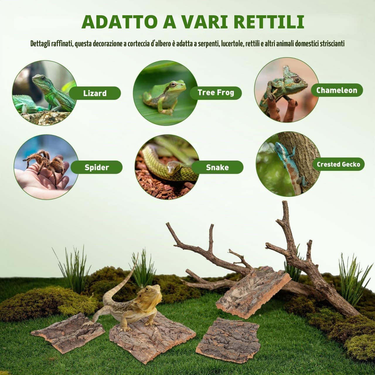 DOITOOL corteccia sughero terrario 4 pezzi marroni 13 cm